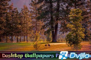 Скачать Desktop Wallpapers Full HD. Part (534) [JPG] torrent