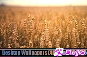 Скачать Desktop Wallpapers (4K) Ultra HD. Part (283) [JPG] torrent
