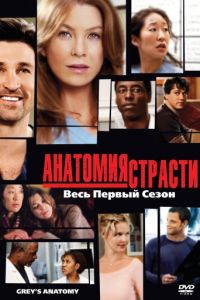 Смотреть Сериал Анатомия страсти 14 сезон онлайн